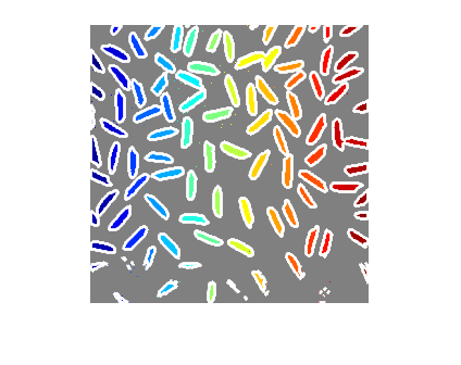 Figure contains an axes object. The hidden axes object contains 152 objects of type image, line.