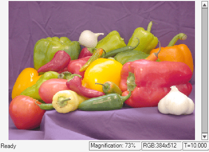 Perform Gamma Correction of Image