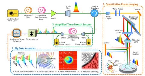 Cancer Diagnostics With Deep Learning And Photonic Time Stretch ...