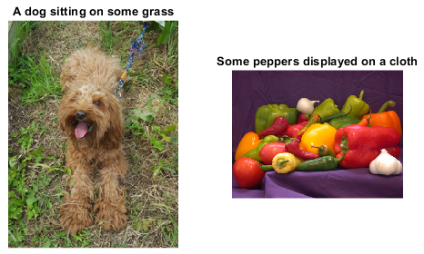 Two labeled images. The left image shows a dog and is labeled "A dog sitting on some grass." The left image shows vegetables and is labeled "Some peppers displayed on a cloth."
