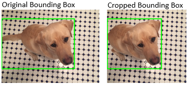 The original image with bounding box is on the left. The cropped image and cropped bounding box is on the right.