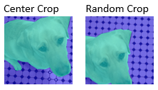 The image with pixel labels cropped from the center is on the left. The image with pixel labels cropped from a random position is on the right.