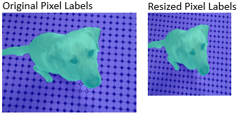 The original image with pixel labels is on the left. The resized image with pixel labels is on the right.