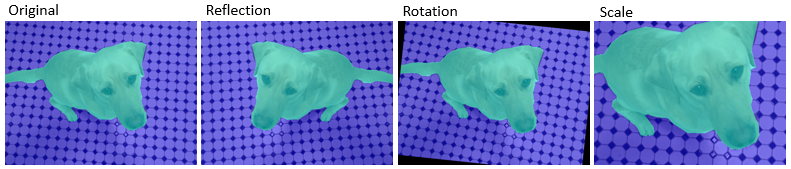 From left to right, the figure shows the original image and pixel labels, the reflected image and pixel labels, the rotated image and pixel labels, and the scaled image and pixel labels.