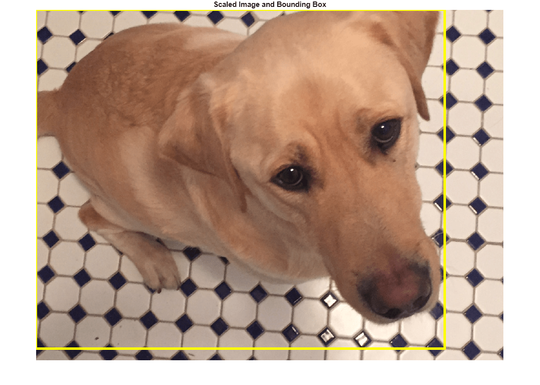 Figure contains an axes object. The hidden axes object with title Scaled Image and Bounding Box contains an object of type image.