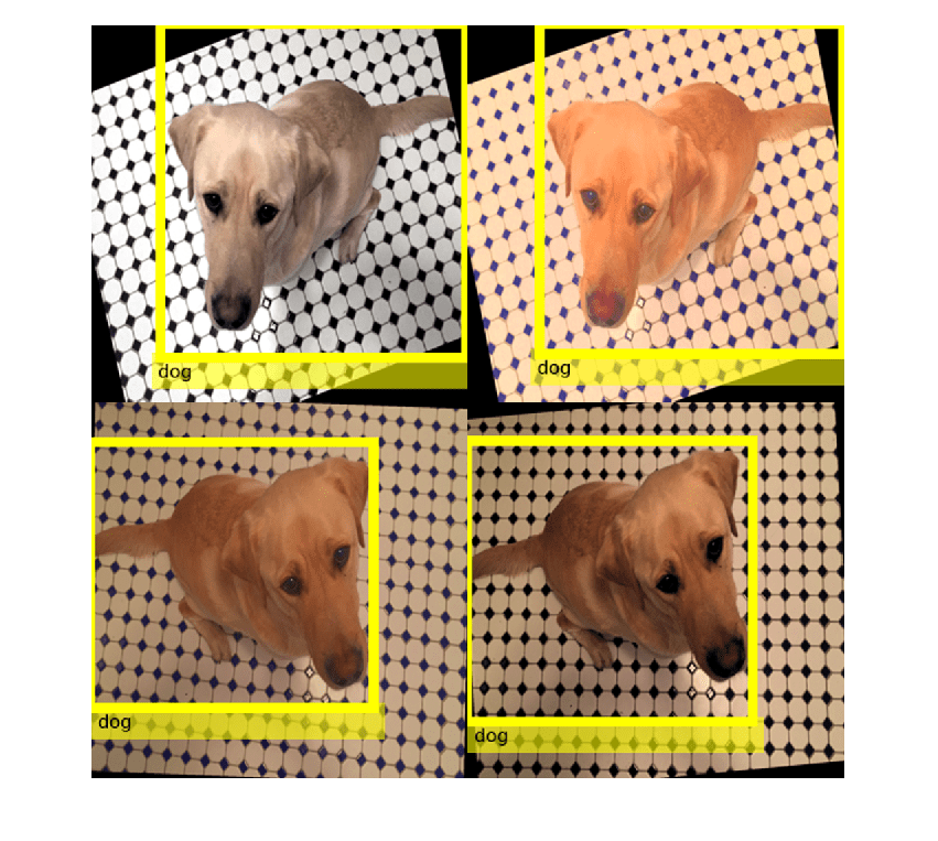 Figure contains an axes object. The hidden axes object contains an object of type image.