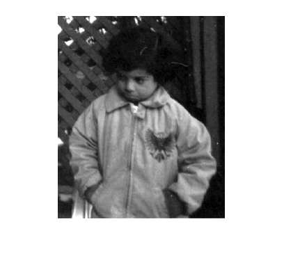 Figure contains an axes object. The hidden axes object contains an object of type image.