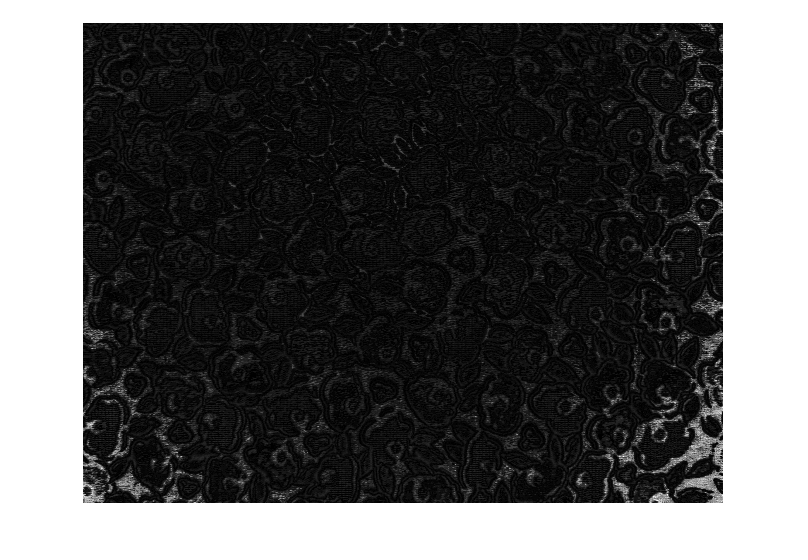 Figure contains an axes object. The hidden axes object contains an object of type image.