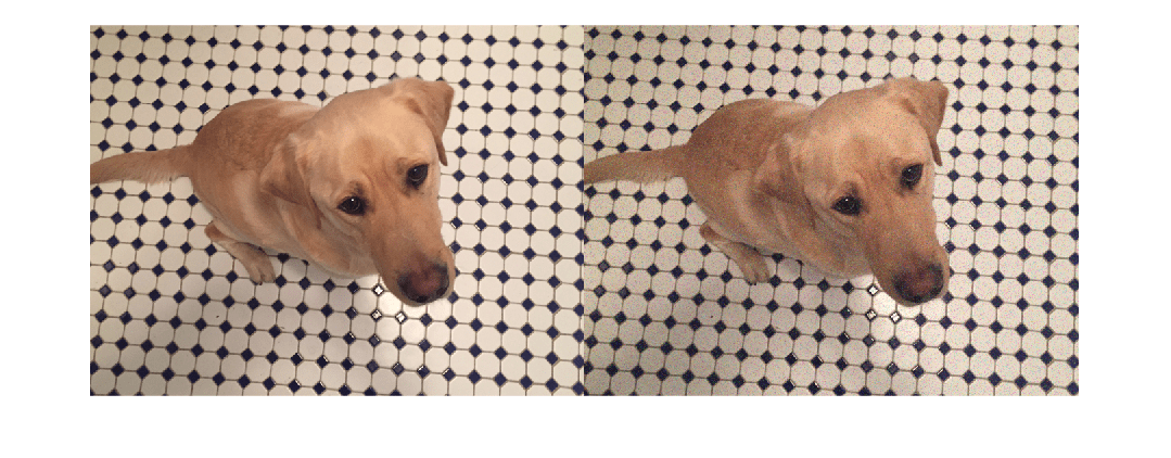 Figure contains an axes object. The hidden axes object contains an object of type image.