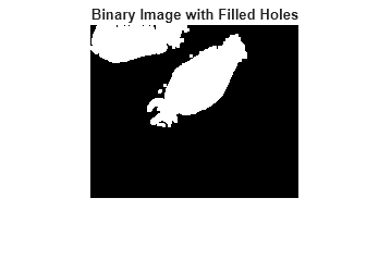 Figure contains an axes object. The hidden axes object with title Binary Image with Filled Holes contains an object of type image.