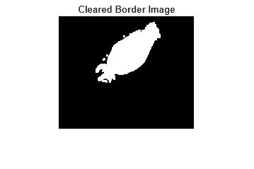 Figure contains an axes object. The hidden axes object with title Cleared Border Image contains an object of type image.