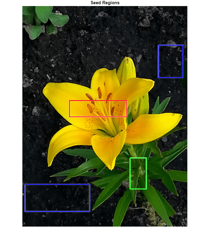 Figure contains an axes object. The hidden axes object with title Seed Regions contains 7 objects of type line, image.