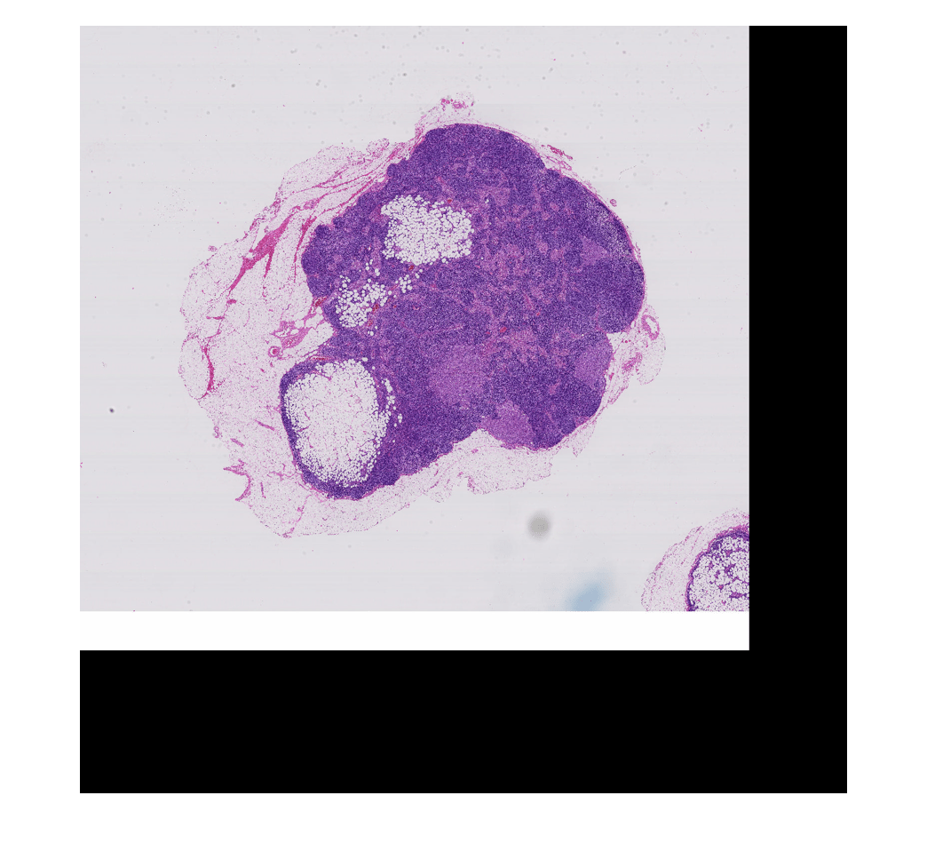 Figure contains an axes object. The hidden axes object contains an object of type image.