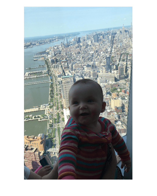 Figure contains an axes object. The hidden axes object contains an object of type image.