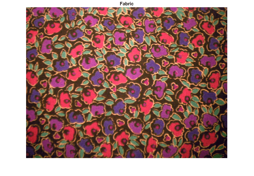 Figure contains an axes object. The hidden axes object with title Fabric contains an object of type image.