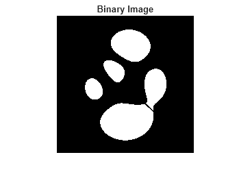Figure contains an axes object. The hidden axes object with title Binary Image contains an object of type image.