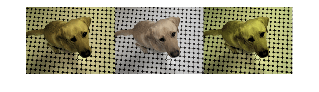 Figure contains an axes object. The hidden axes object contains an object of type image.