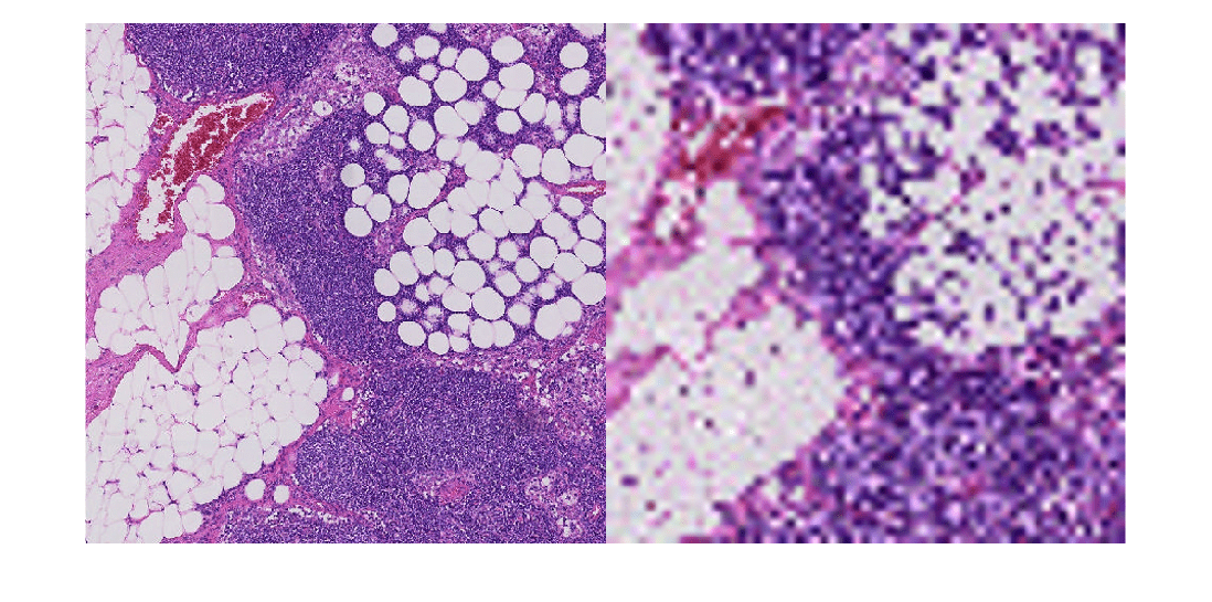 Figure contains an axes object. The hidden axes object contains an object of type image.