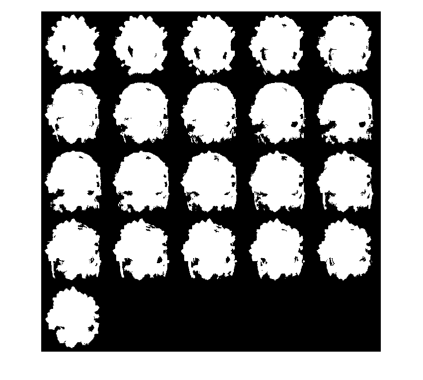 Figure contains an axes object. The hidden axes object contains an object of type image.