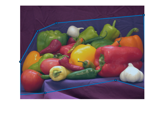 Figure contains an axes object. The hidden axes object contains 2 objects of type image, images.roi.polygon.