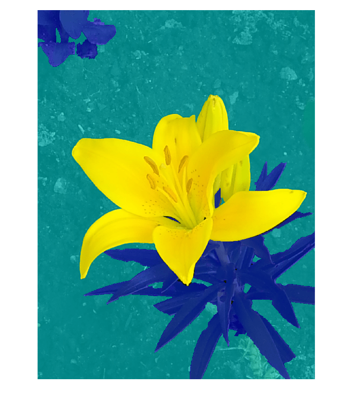 Figure contains an axes object. The hidden axes object contains an object of type image.