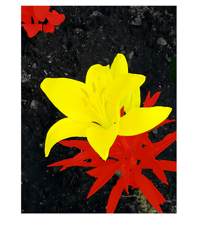 Figure contains an axes object. The hidden axes object contains an object of type image.