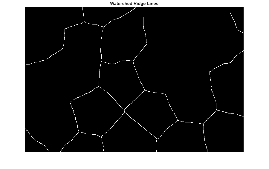 Figure contains an axes object. The hidden axes object with title Watershed Ridge Lines contains an object of type image.