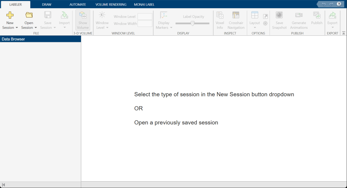 Medical Image Labeler window