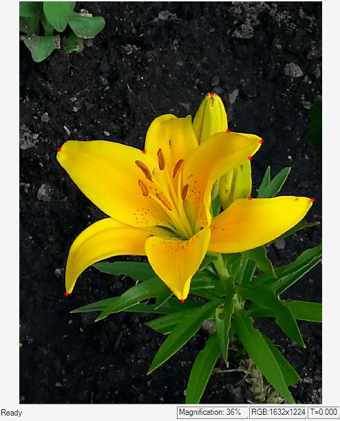 Detect Corners in Image