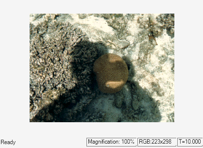 Enhance Contrast of Color Image Using Histogram Equalization