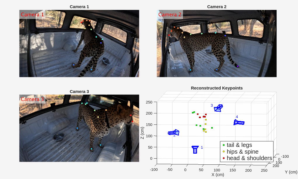 3-D Motion Reconstruction Using Multiple Cameras