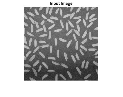 Figure contains an axes object. The hidden axes object with title Input Image contains an object of type image.