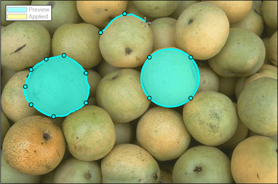 Preview of segmented pears using Assisted Freehand and Circle ROI shapes.