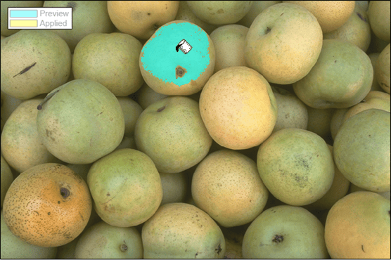 Preview of segmented pear using flood fill.