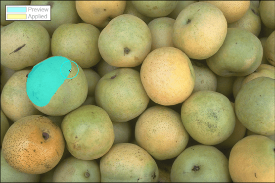 Preview of segmented pear using paint brush.