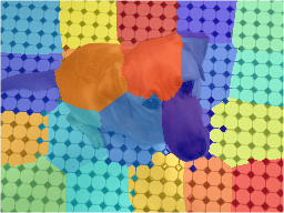 Label overlay with shuffling color order.