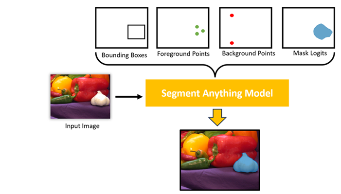 SAM uses visual prompts, such as points, boxes, and masks, to interactively produce accurate segmentation.