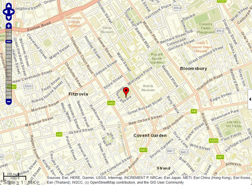 Marker displayed on a web map