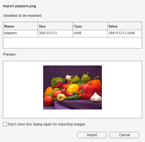 Import Tool showing a table with columns to view the name, size, class, and value of the image to import and a preview of the image