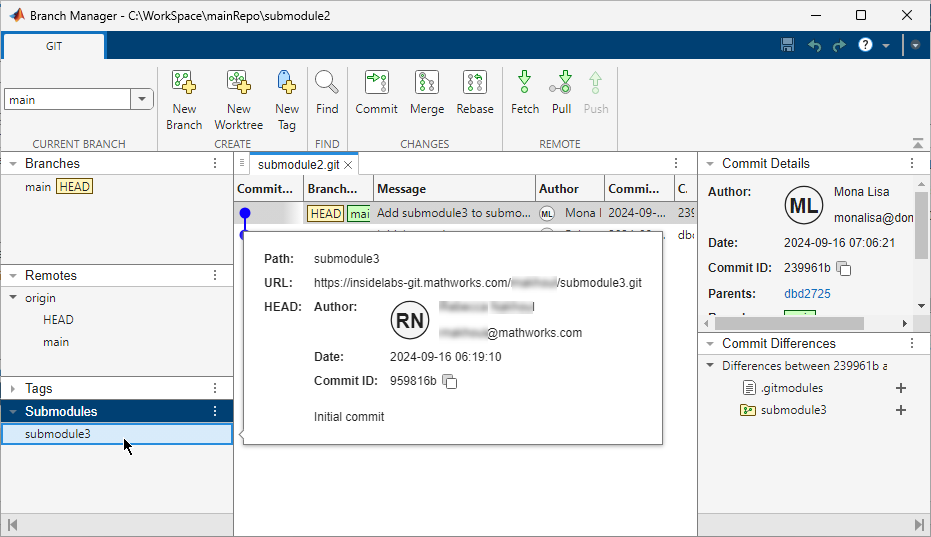 The Branch Manager shows the submodule information.