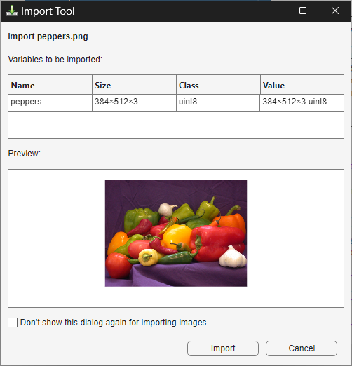 Import Tool showing a table with columns to view the name, size, class, and value of the image to import and a preview of the image