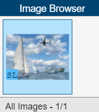 Image thumbnail with an SL tag in the Image Browser pane.