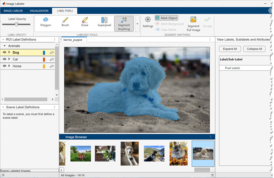 Use the Image Labeler app to interactively assign pixel labels to ground truth training data using a labeling tool such as Segment Anything.